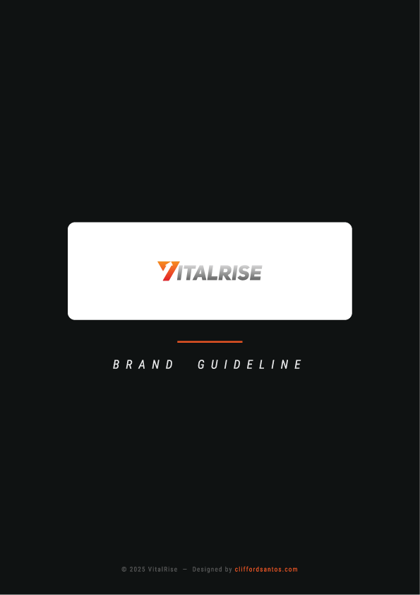 VitalRise Brand Identity